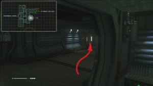 Alien isolation k lingard