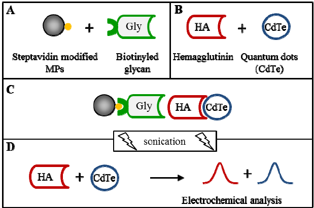 Isolation quantum