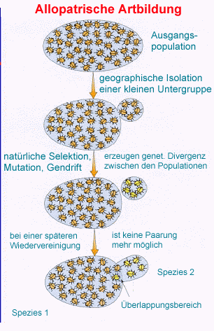 ökologische isolation