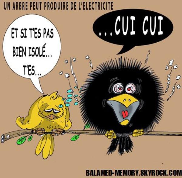 Comble blague