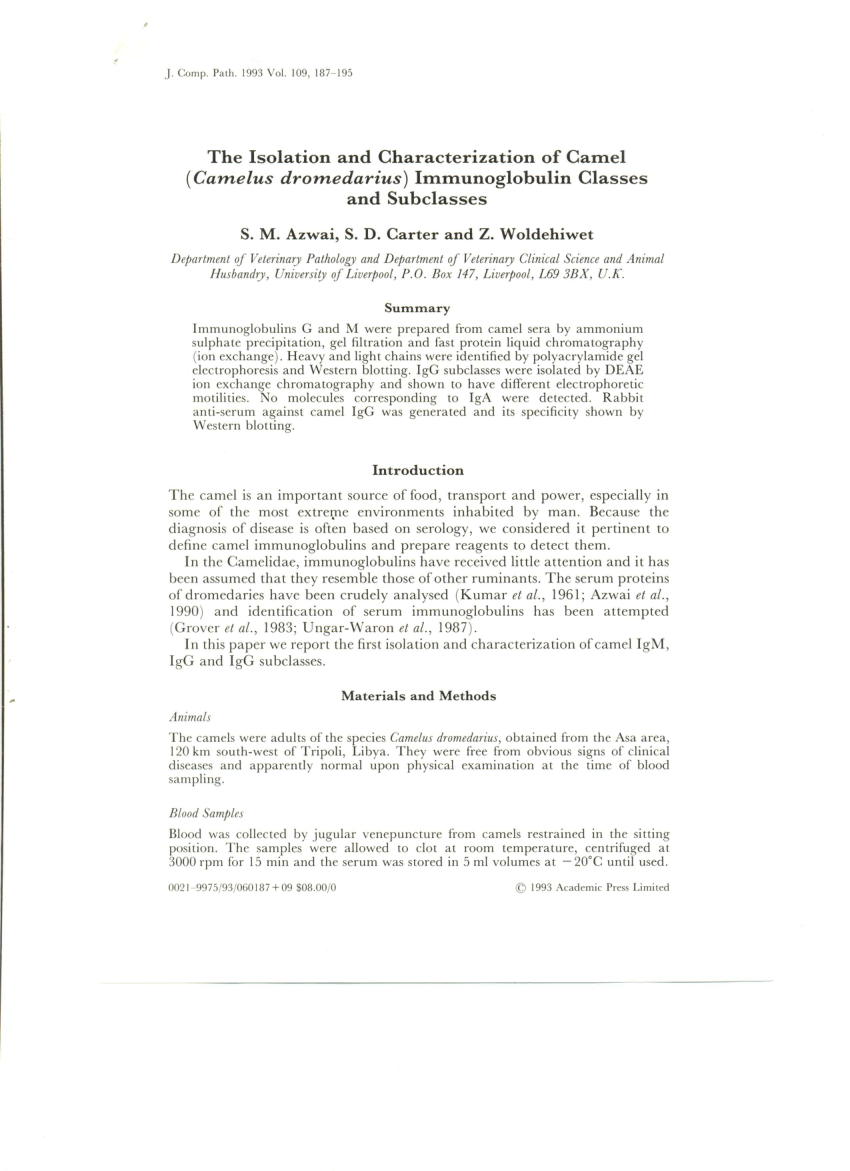 Immunoglobulin g isolation