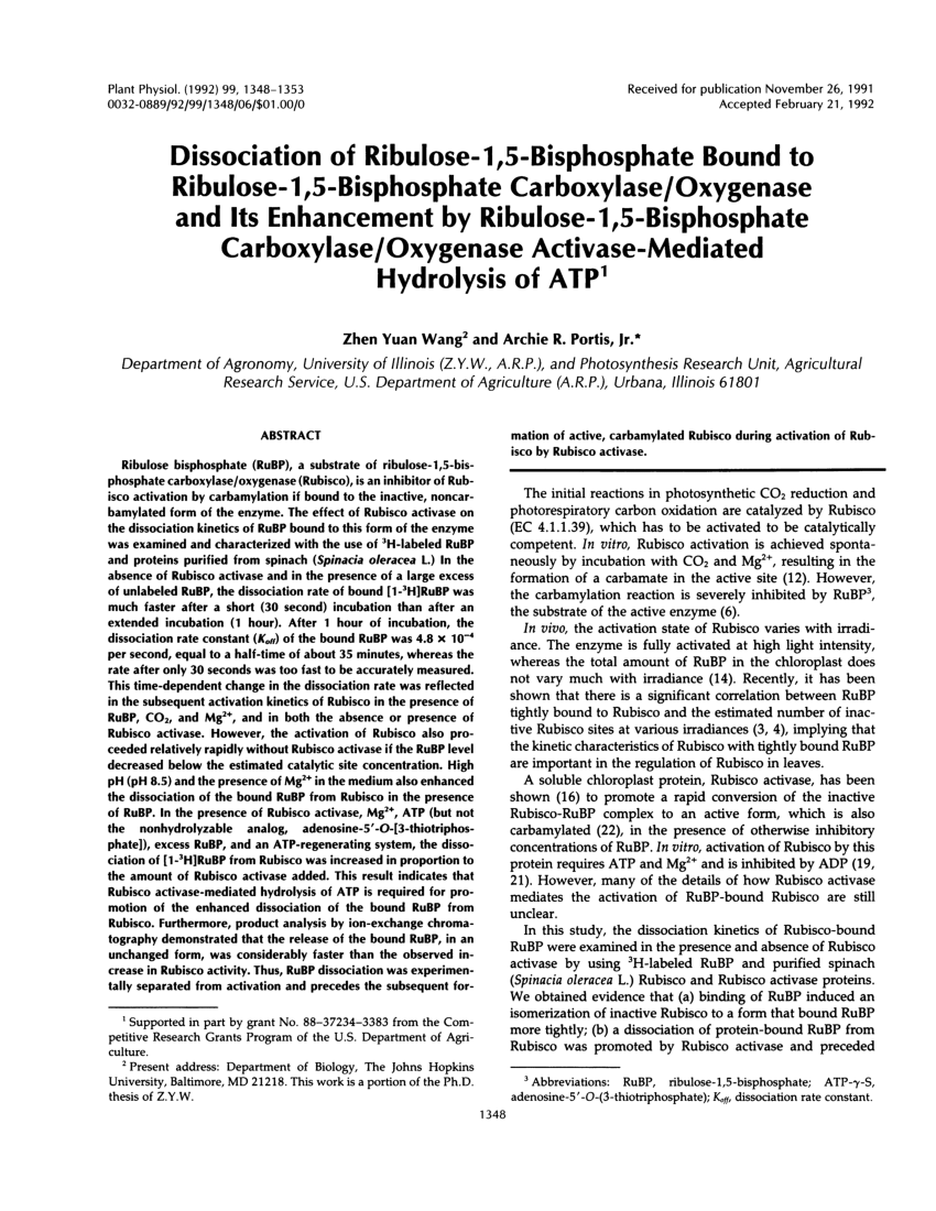 Isolation of ribulose-1 5-bisphosphate carboxylase/oxygenase from leaves