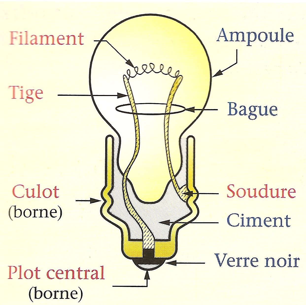 Schéma d'une ampoule électrique