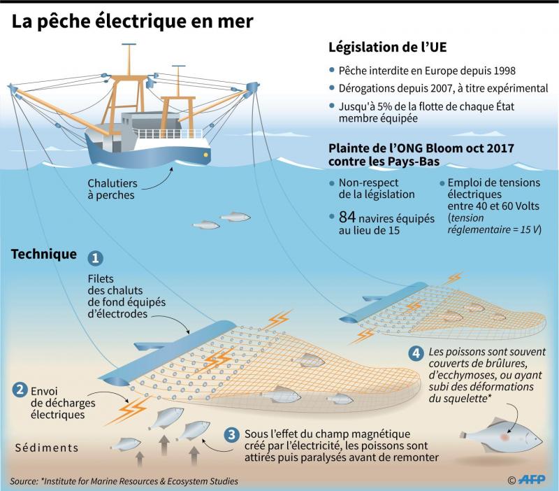 Norme pêche électrique