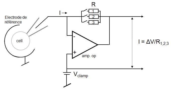 Schéma électrique amplificateur opérationnel