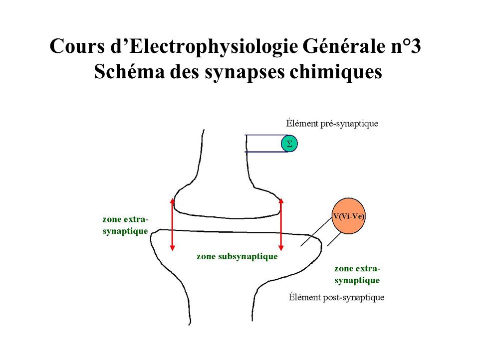 Schema d'un circuit electrique en derivation