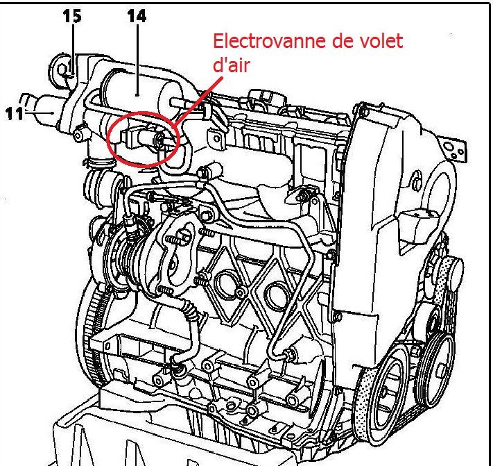 Schéma coeur activité électrique