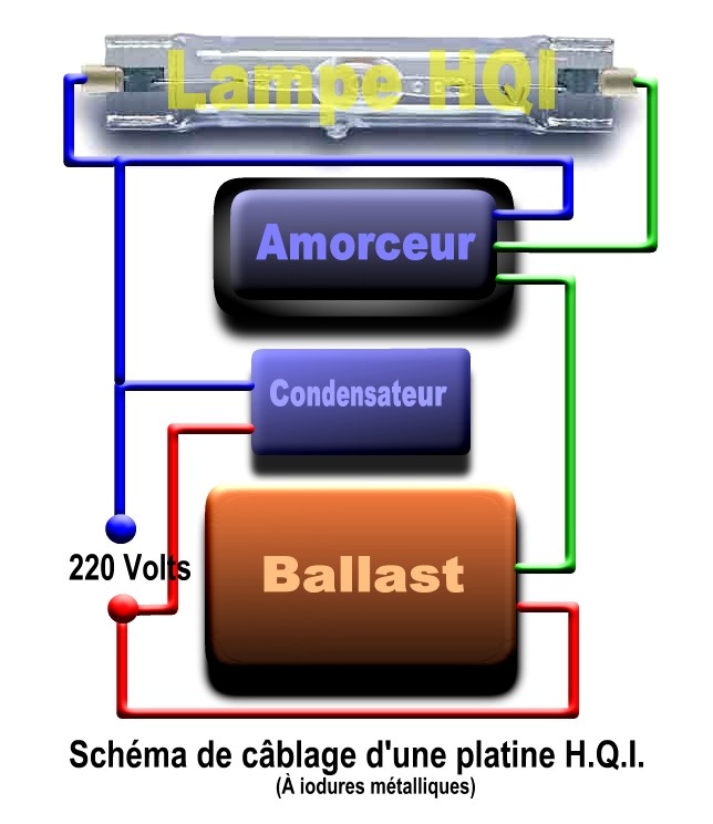 Schema electrique projecteur
