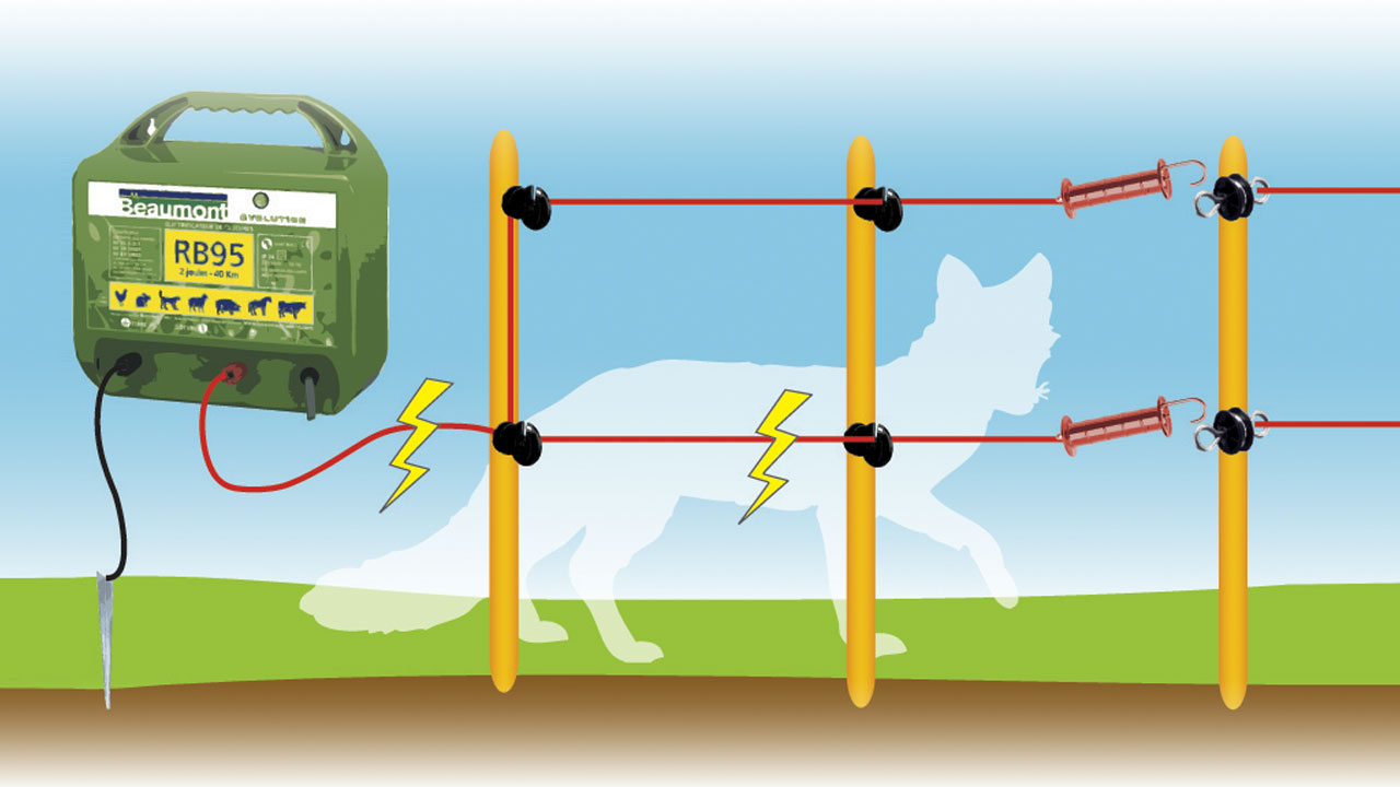 Schema cloture electrique pour chevaux