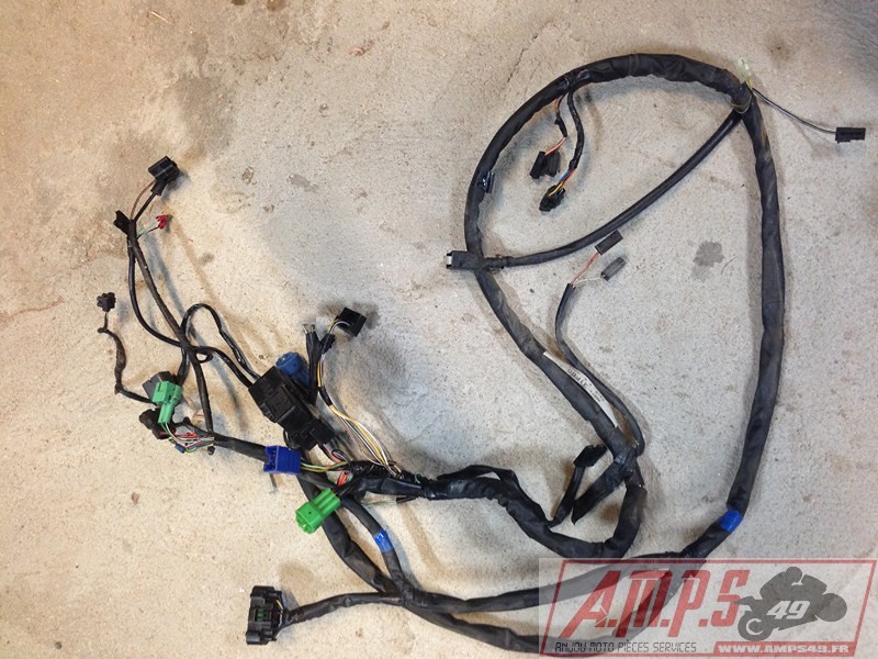 Schema faisceau electrique 600 bandit