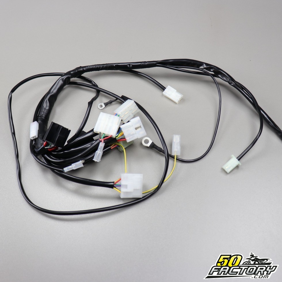 Schema faisceau electrique rieju rs2 matrix