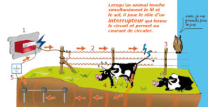Schema electrique hager pdf