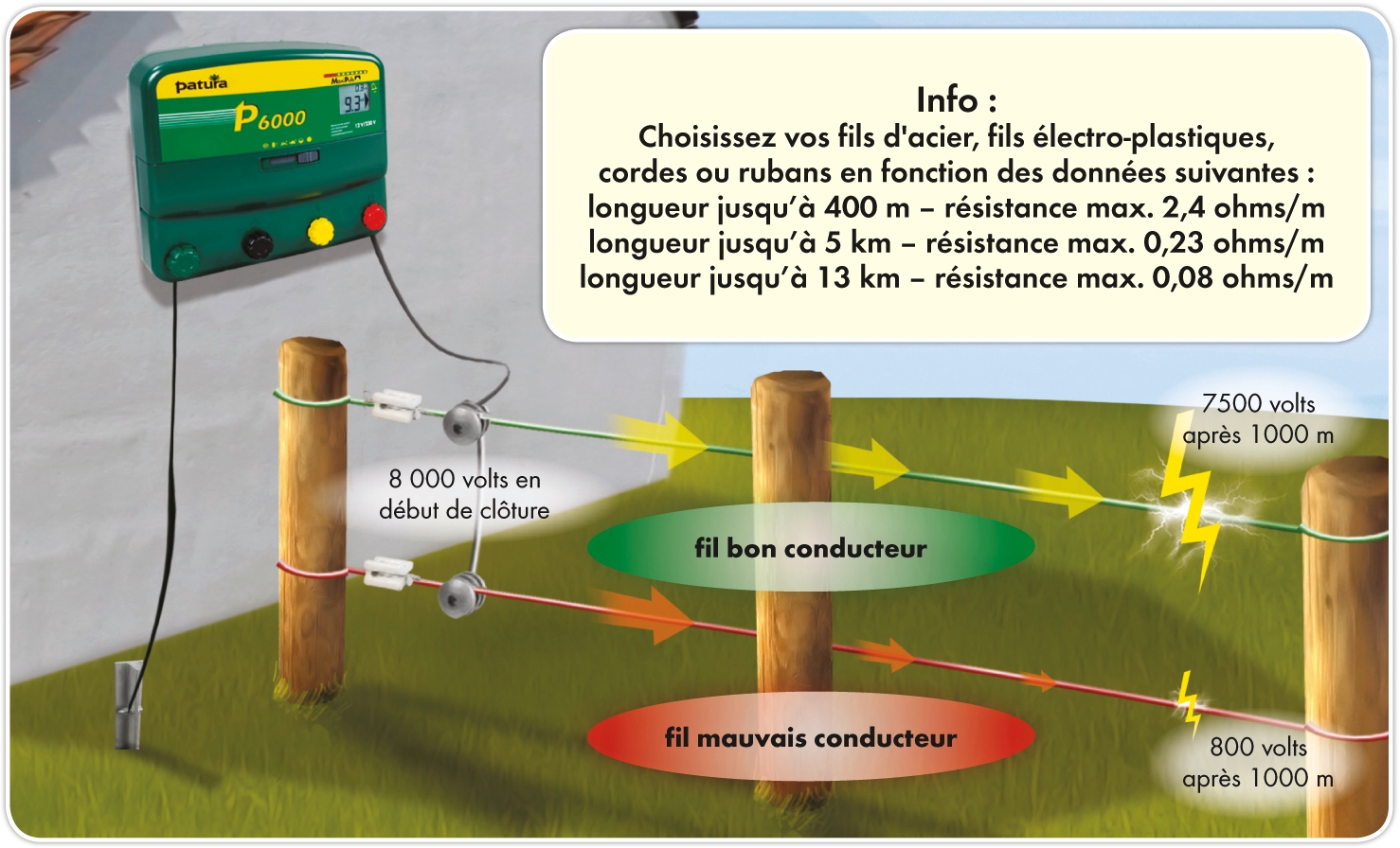 Schema cloture electrique pour animaux
