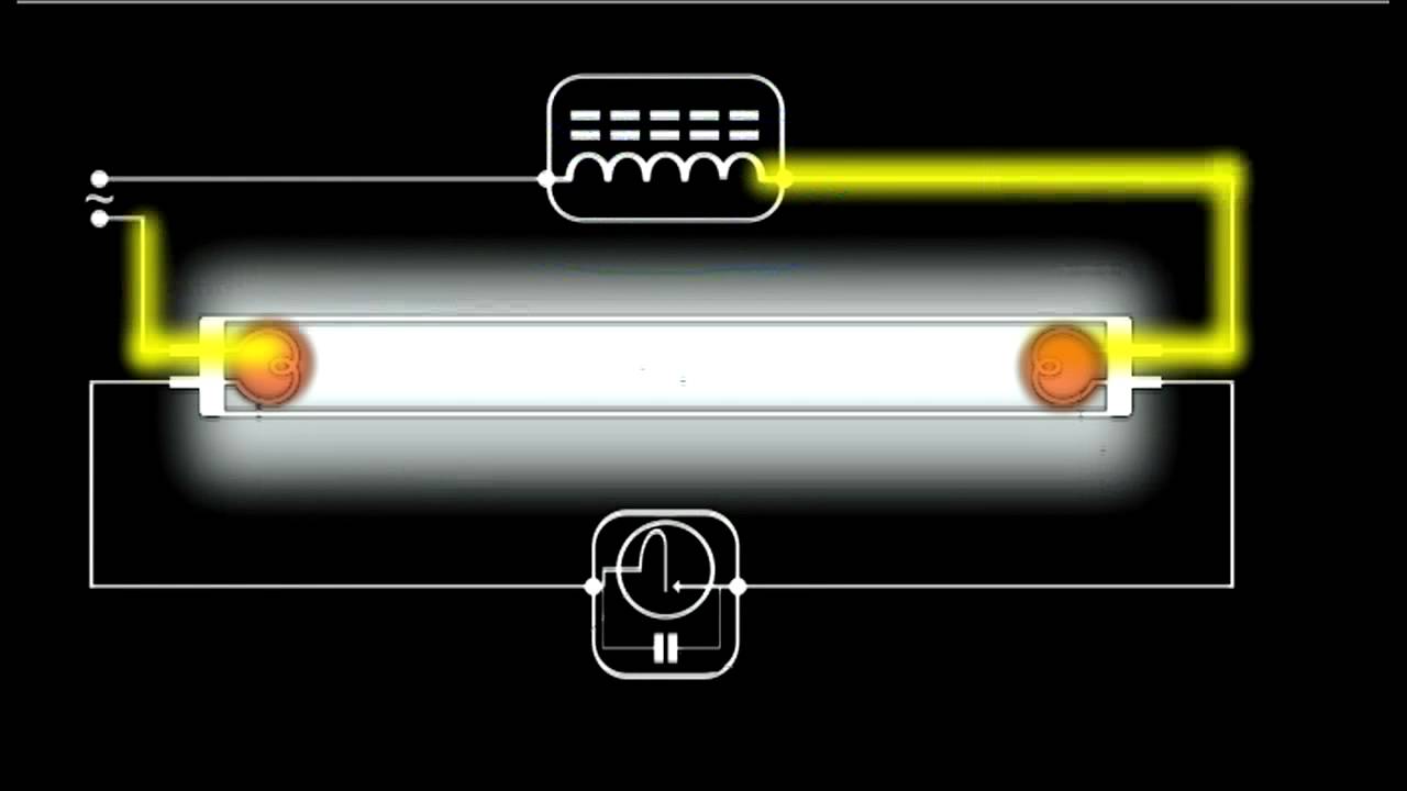 Schema electrique starter neon - Combles isolation