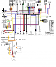 Schema faisceau electrique rieju rs2