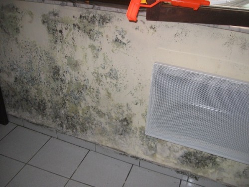 Plaque phonique plafond